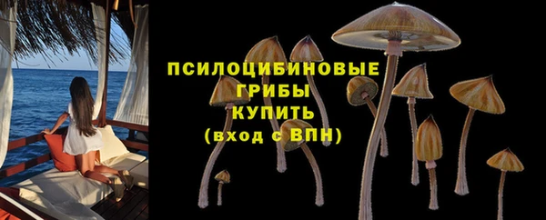 2c-b Бородино