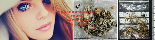 PSILOCYBIN Бугульма