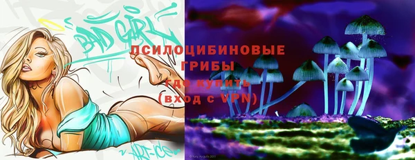 PSILOCYBIN Бугульма