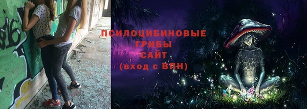 2c-b Бородино