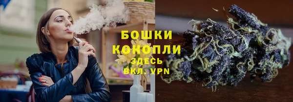 2c-b Бородино