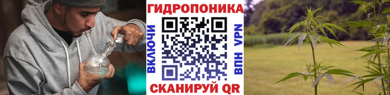 blacksprut как войти  Сердобск  МАРИХУАНА OG Kush  купить закладку 